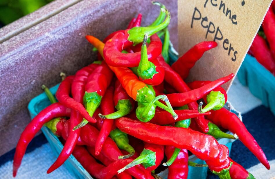 7 Top Health Benefits of Cayenne Pepper (Chili) You Must-Know!